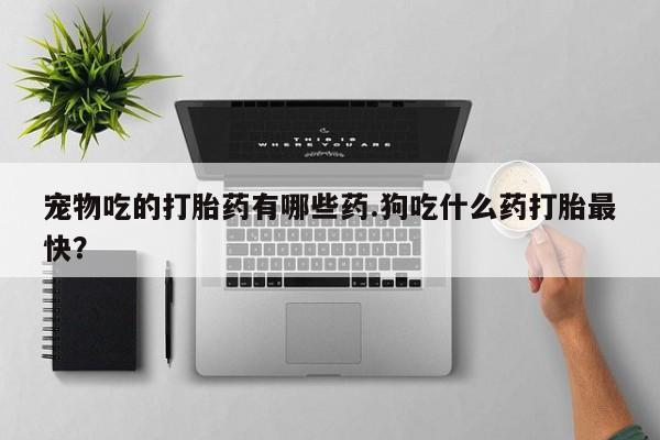 网上流产药专卖微信,宠物吃的打胎药有哪些药.狗吃什么药打胎最快？